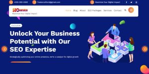 seo service